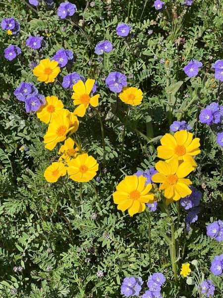 california nature post