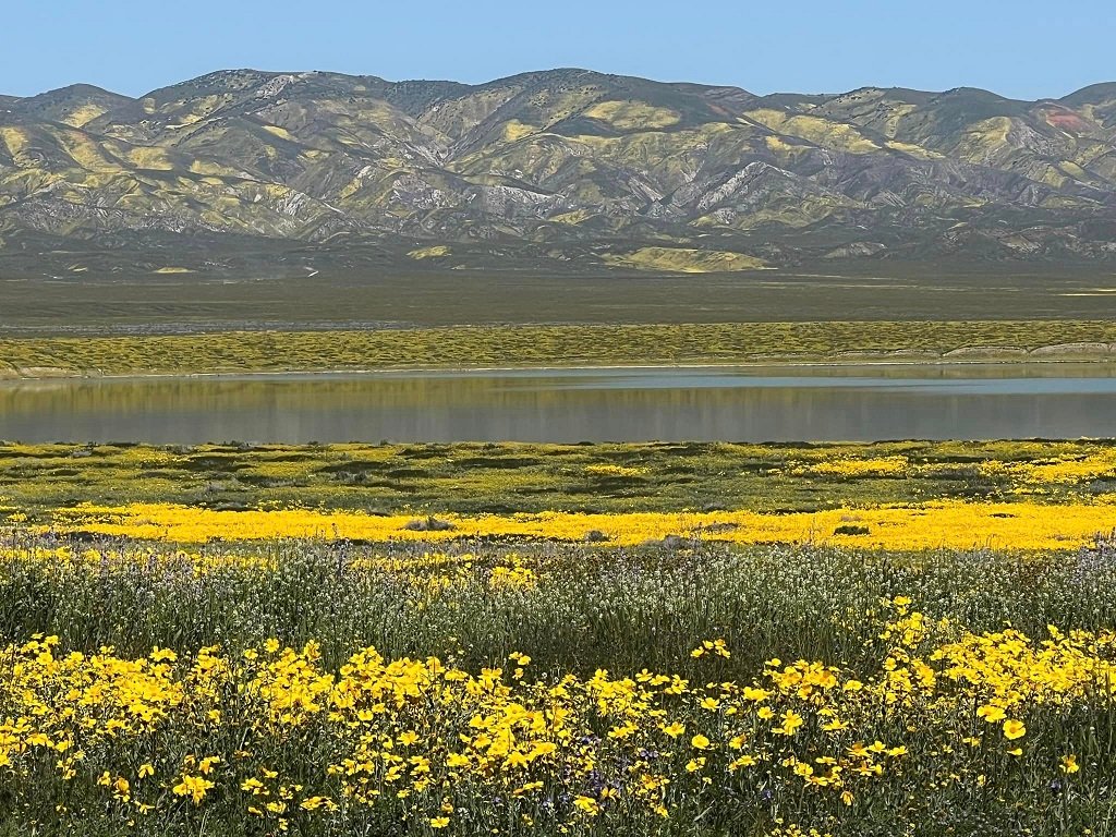 california nature buz